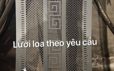 Tầm quan trọng của lưới loa